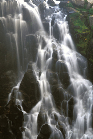 MT RAINIER NP