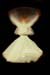 WHIRLING DERVISH